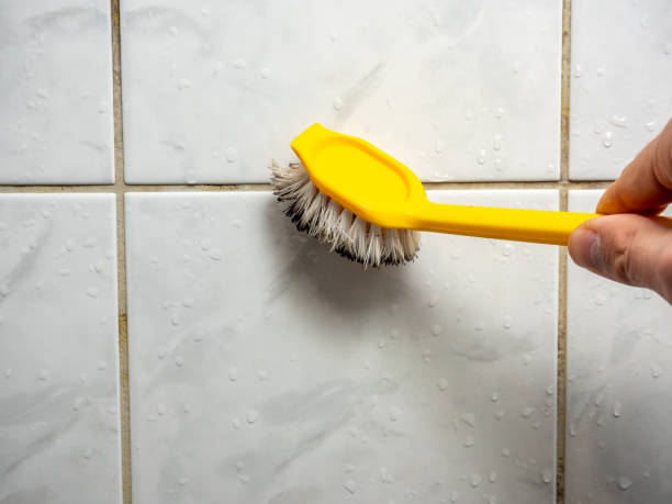  Davidson, NC Mold Removal Pros