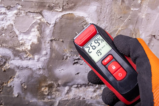 Best Office Mold Removal Services  in Davidson, NC