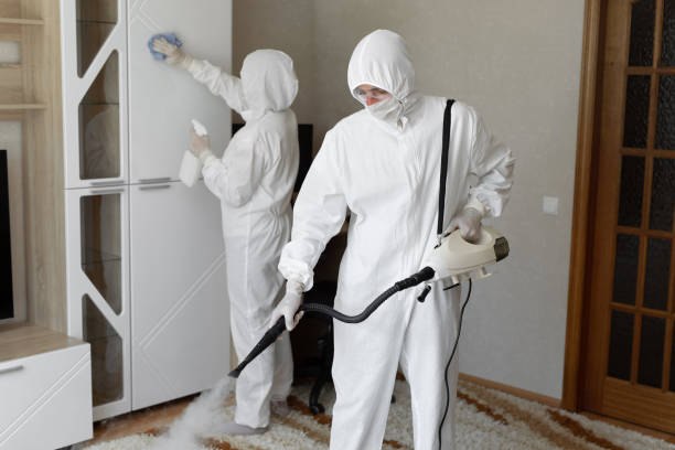Professional Mold Removal in Davidson, NC