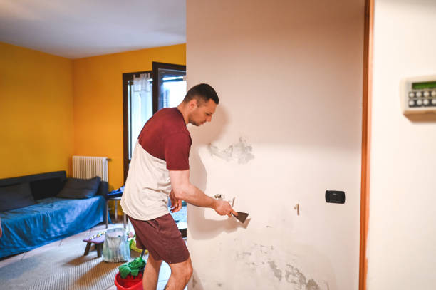 Best Commercial Mold Removal  in Davidson, NC